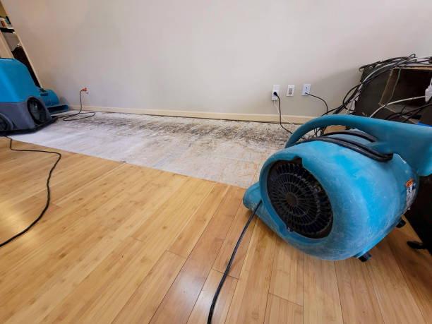 Professional Water Extraction technician working in Pine Brook, NJ